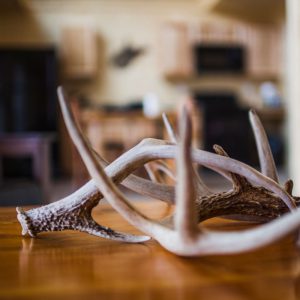 cabin-17