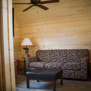 cabin-22