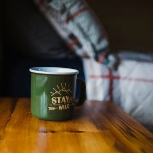 cabin-8